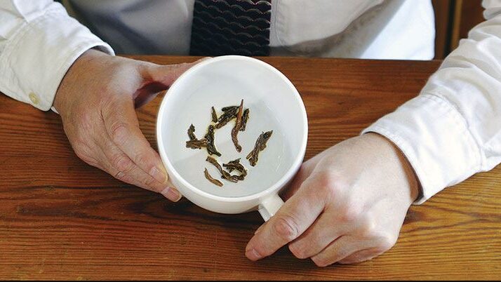Tea Leaves