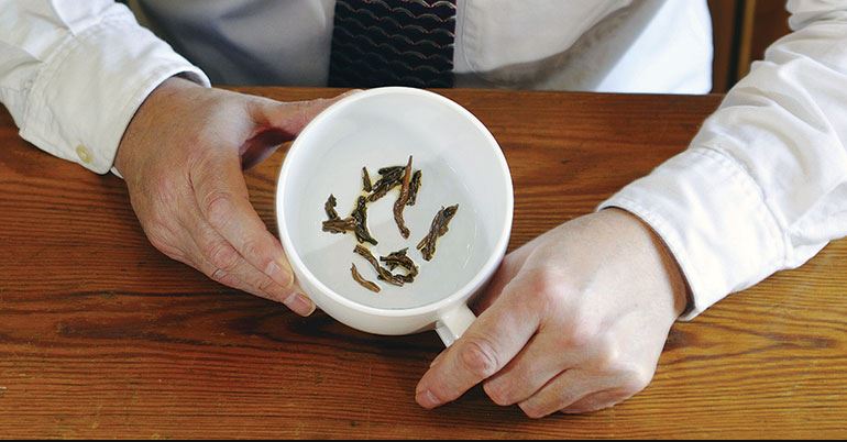 Tea Leaves